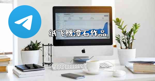 纸飞機潭石作品