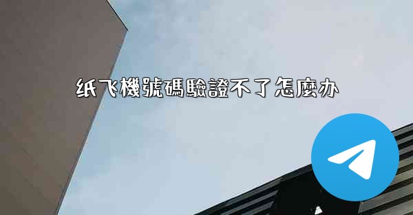 纸飞機號碼驗證不了怎麼办