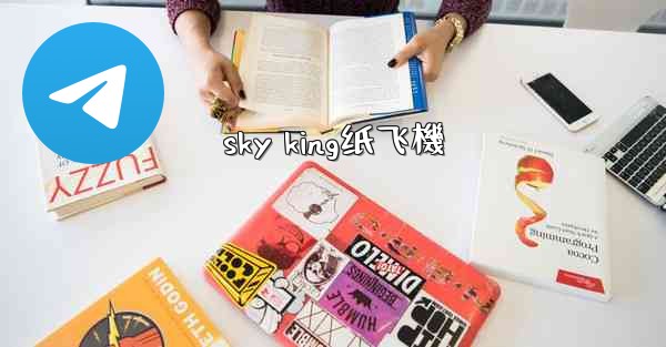 sky king纸飞機