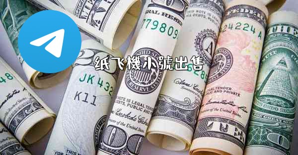 纸飞機小號出售