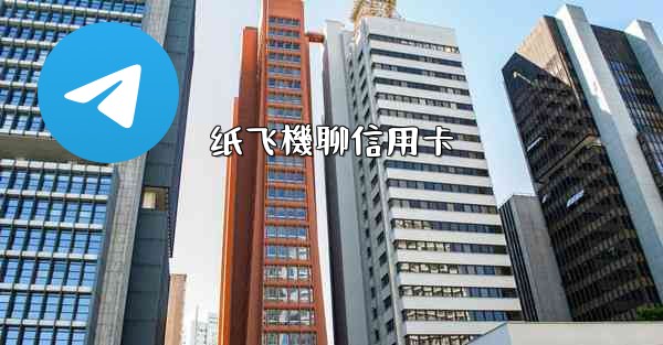 纸飞機聊信用卡