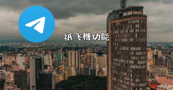 纸飞機功能
