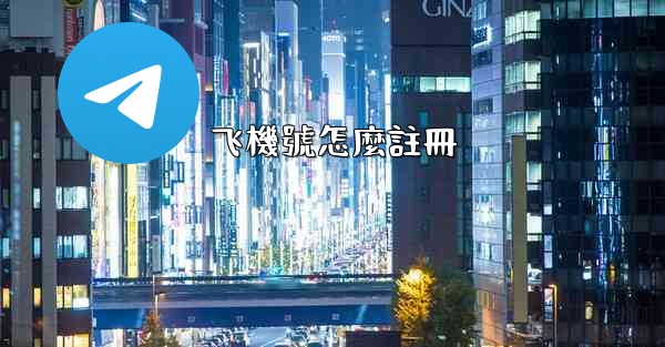 飞機號怎麼註冊