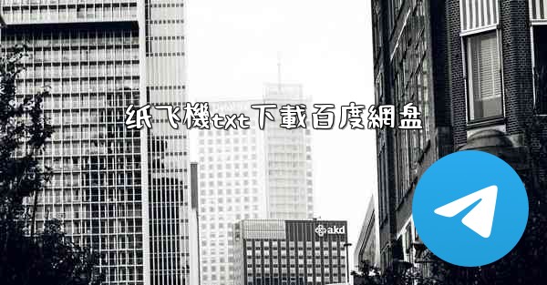 纸飞機txt下載百度網盘