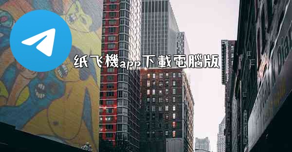 纸飞機app下載電腦版