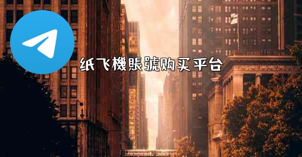 纸飞機賬號购买平台
