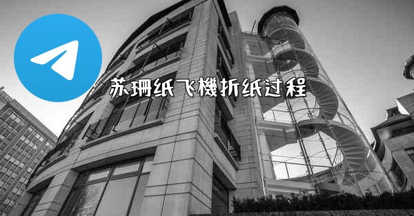 苏珊纸飞機折纸过程