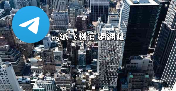 tg纸飞機官網網址