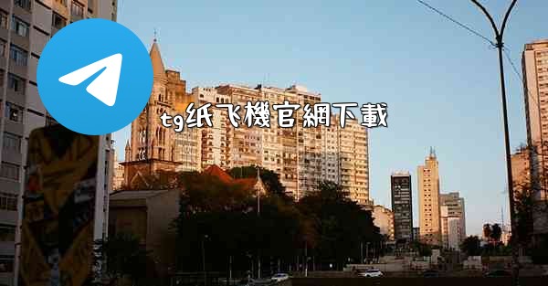tg纸飞機官網下載