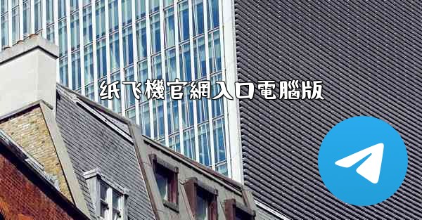 纸飞機官網入口電腦版