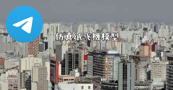 仿真纸飞機模型