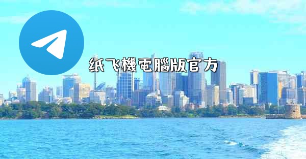 纸飞機電腦版官方