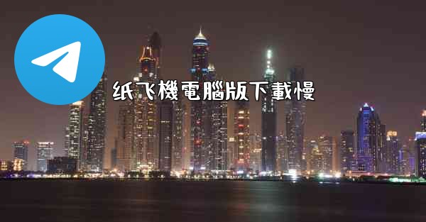 纸飞機電腦版下載慢