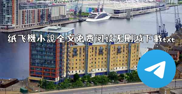 纸飞機小說全文免费阅读无刪減下載txt