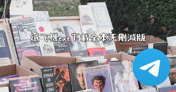 纸飞機txt下載全本无刪減版