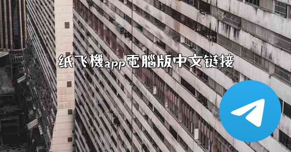 纸飞機app電腦版中文链接