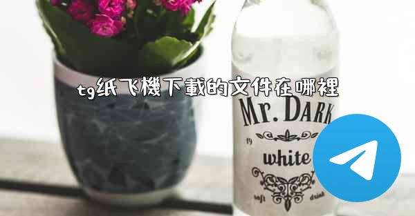 tg纸飞機下載的文件在哪裡