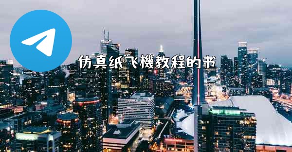 仿真纸飞機教程的书