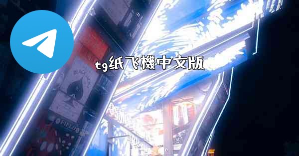 tg纸飞機中文版