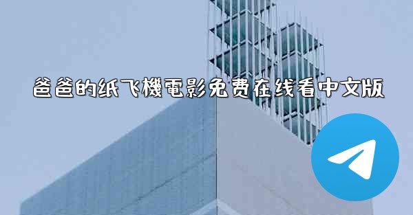 爸爸的纸飞機電影免费在线看中文版