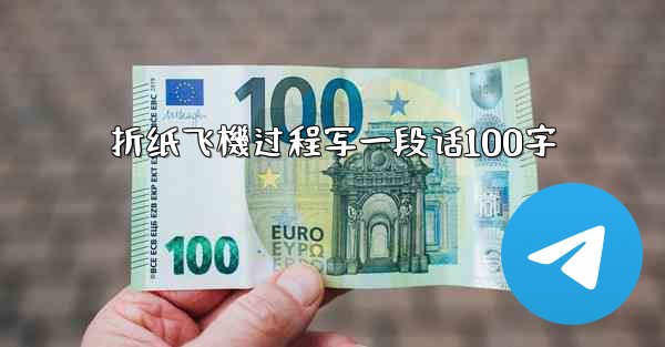 折纸飞機过程写一段话100字