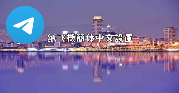 纸飞機簡体中文設置