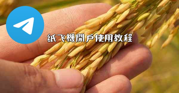 纸飞機開戶使用教程