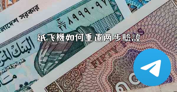 纸飞機如何重置两步驗證