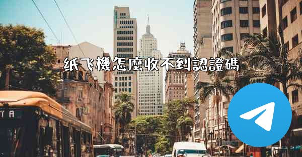 纸飞機怎麼收不到認證碼