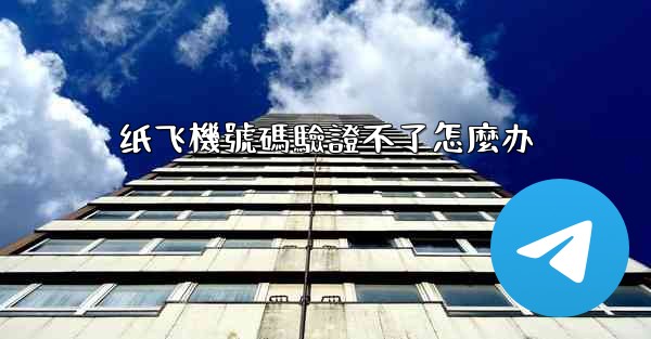 纸飞機號碼驗證不了怎麼办