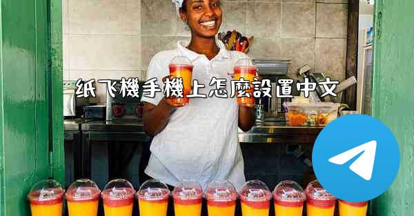 纸飞機手機上怎麼設置中文