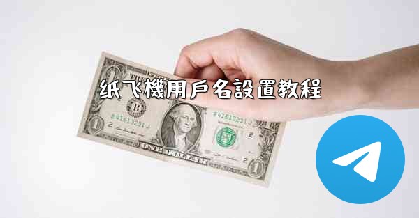 纸飞機用戶名設置教程