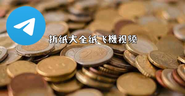 折纸大全纸飞機视频