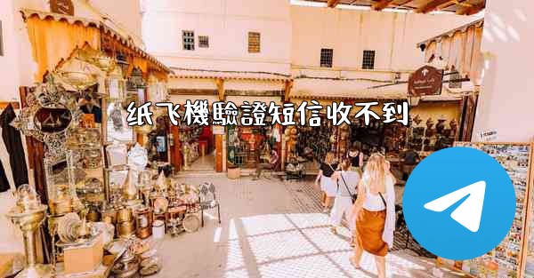 纸飞機驗證短信收不到