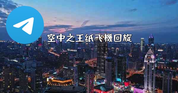 空中之王纸飞機回旋