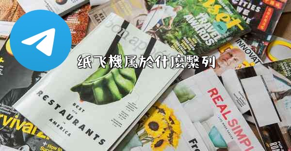 纸飞機属於什麼繫列