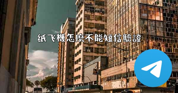 纸飞機怎麼不能短信驗證