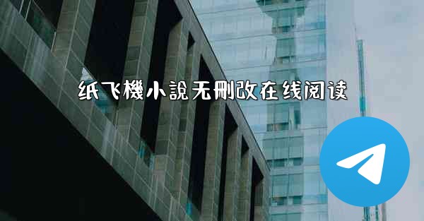 纸飞機小說无刪改在线阅读