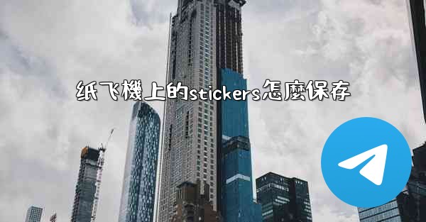 纸飞機上的stickers怎麼保存