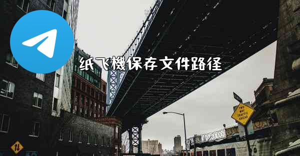 纸飞機保存文件路径