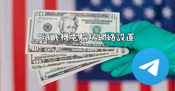 纸飞機電腦端網絡設置