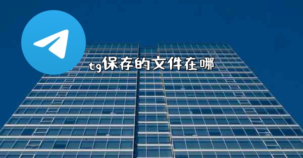 tg保存的文件在哪