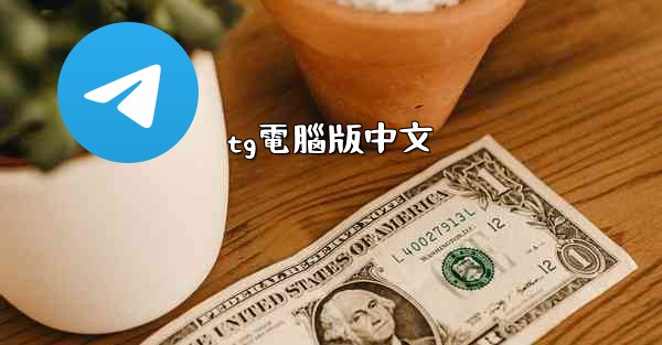 tg電腦版中文