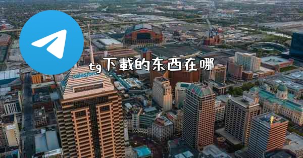 tg下載的东西在哪