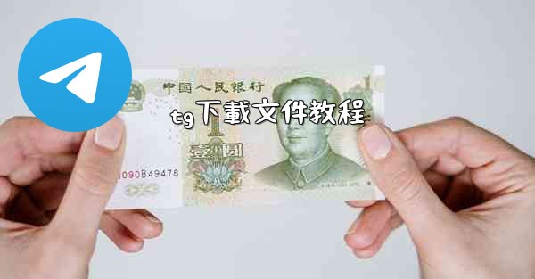 tg下載文件教程