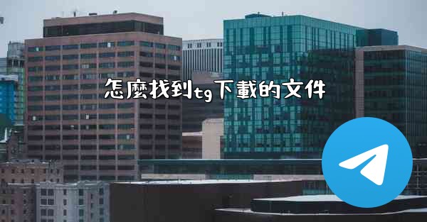 怎麼找到tg下載的文件