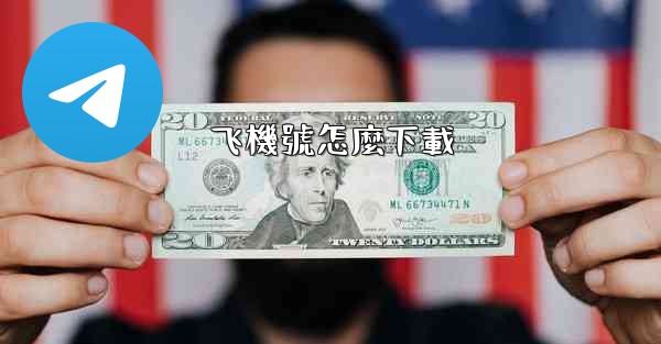 飞機號怎麼下載
