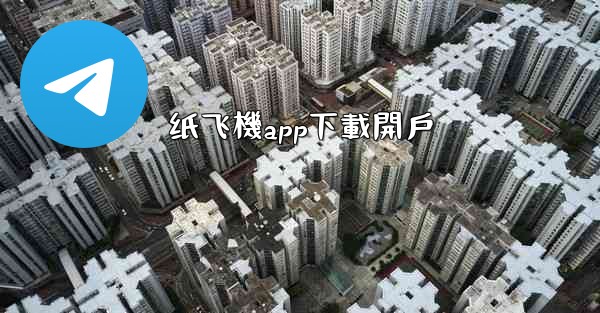 纸飞機app下載開戶