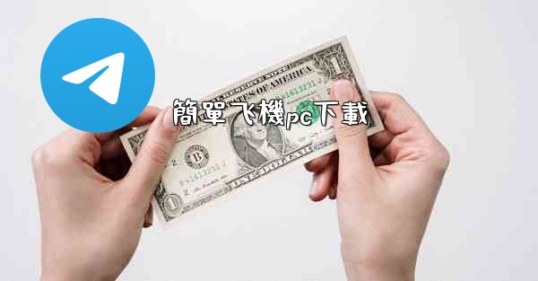 簡單飞機pc下載