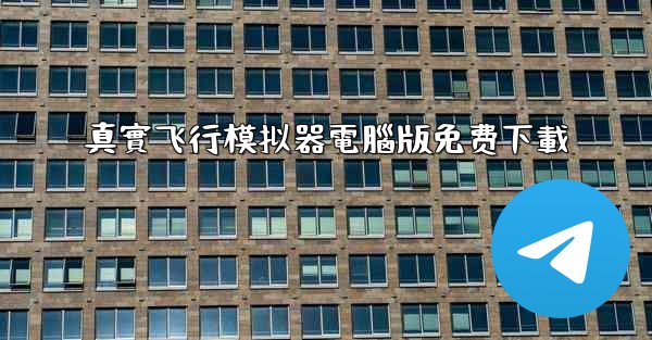 真實飞行模拟器電腦版免费下載